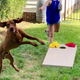 Cornhole